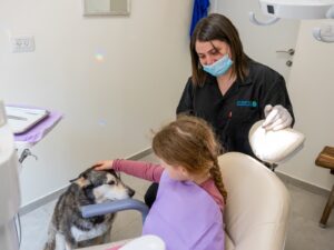טיפול שיניים עם כלבה טיפולית